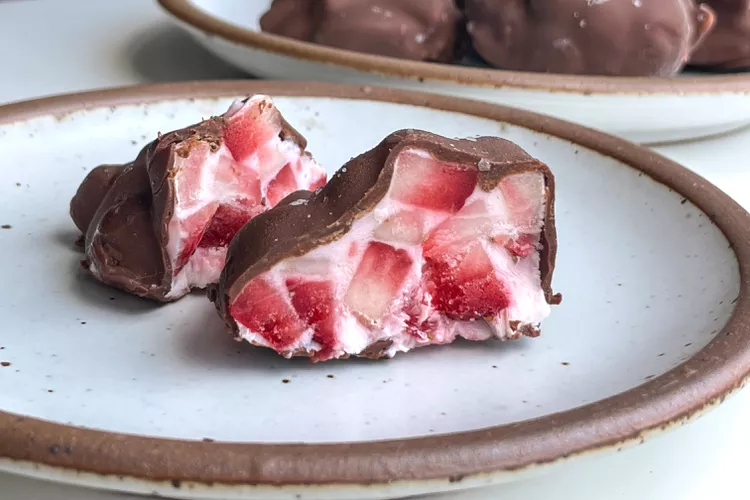 Bouchées glacées Grappes de yaourt aux chocolat